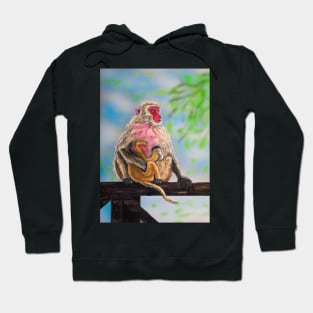 Rhesus Macaque Hoodie